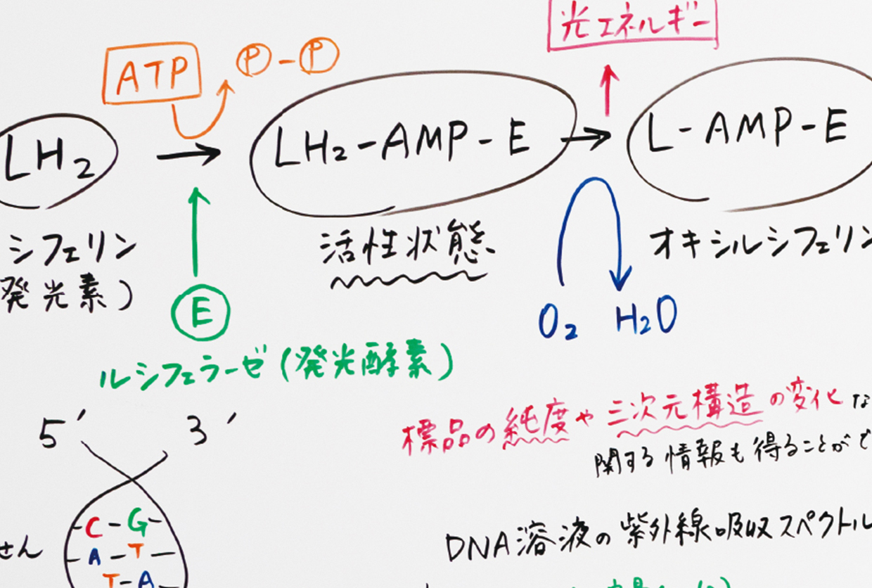 数式や強調表示など、色を多用してより魅力的に